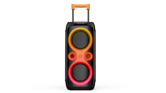 2022 Altoparlante privato Ad alta potenza PA Audio Doppio 10 pollici Wireless Bluetooth DJ Disco Karaoke Woofer Altoparlanti per feste con amplificatore integrato Caixa De Son De 100W