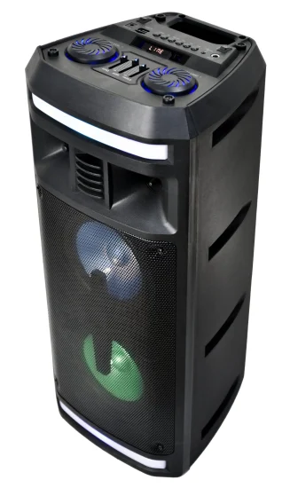 Altoparlante audio Bluetooth con LED Dual 6,5 pollici Wireless DJ portatile PA Party Karaoke Sound Box Altoparlante multimediale ricaricabile da 5 W ED