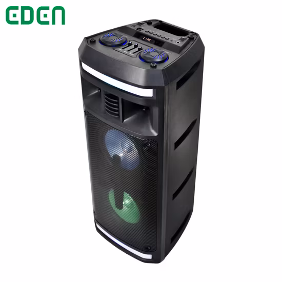 Altoparlante audio Bluetooth con LED Dual 6,5 pollici Wireless DJ portatile PA Party Karaoke Sound Box Altoparlante multimediale ricaricabile da 5 W ED