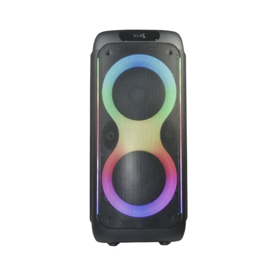 Temeisheng Nuovo altoparlante HiFi per feste con carrello portatile wireless Bluetooth da 80 W